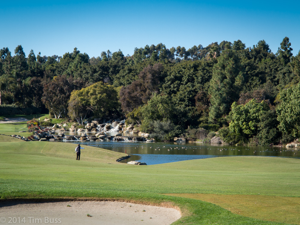 Green, bunker and water feature at Aviara Golf Course